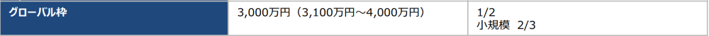 グローバル枠について