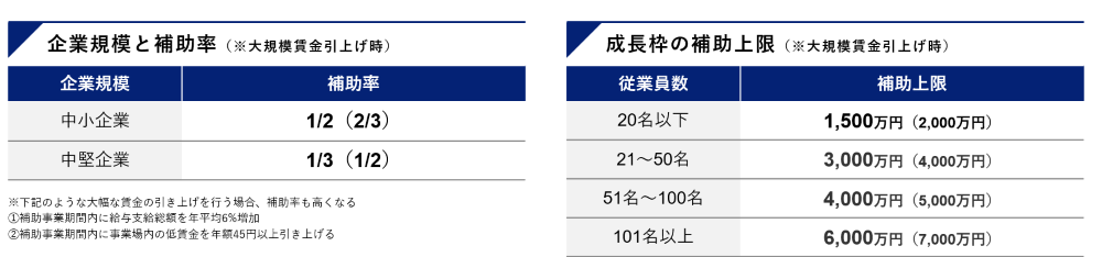 事業再構築補助金12回公募成長分野進出枠の補助率と補助上限金額